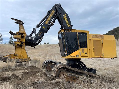 used feller buncher for sale